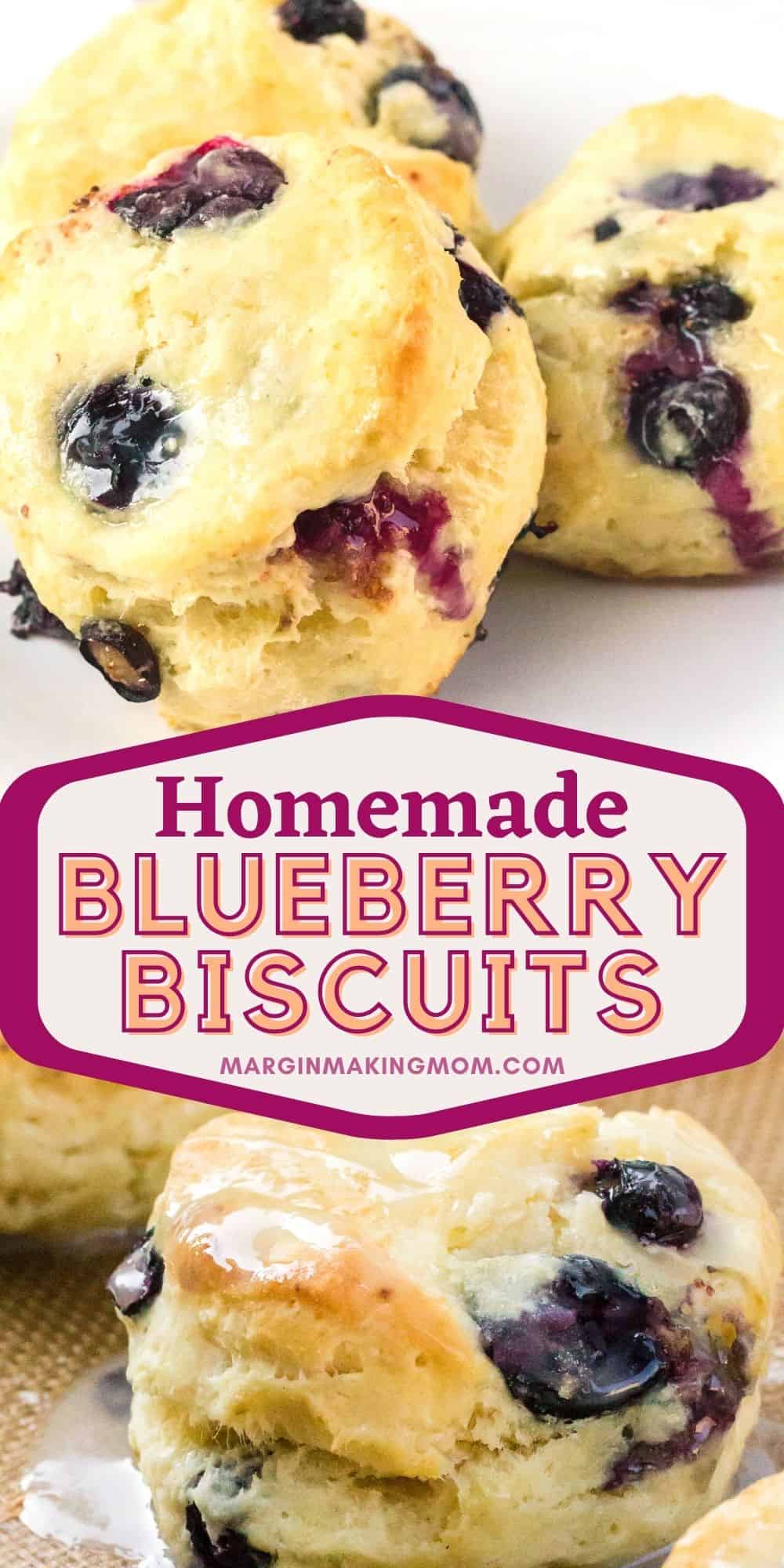 collage image featuring blueberry biscuits on a baking sheet and served on a white plate