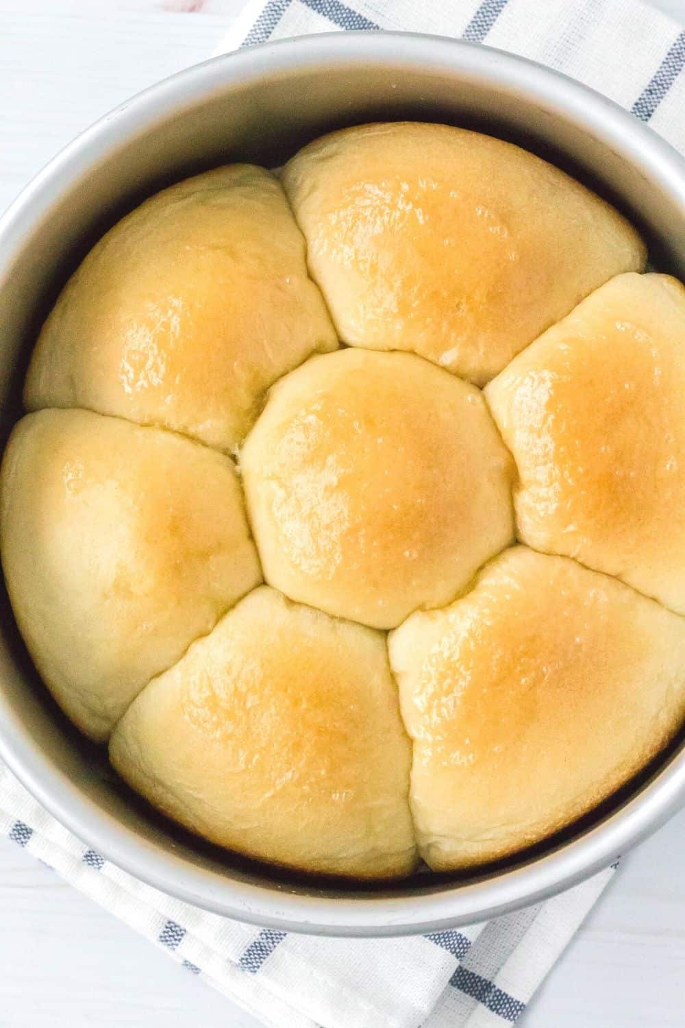 overhead view of a pan of freshly baked frozen dinner rolls