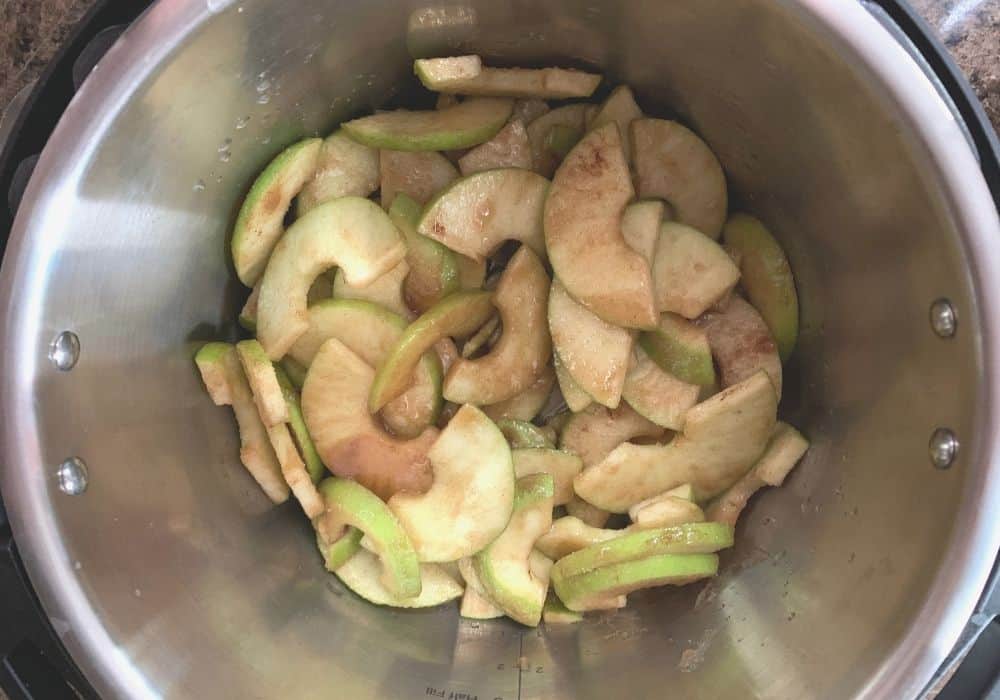 sliced apple mixture added to the water in the insert pot of the Instant Pot