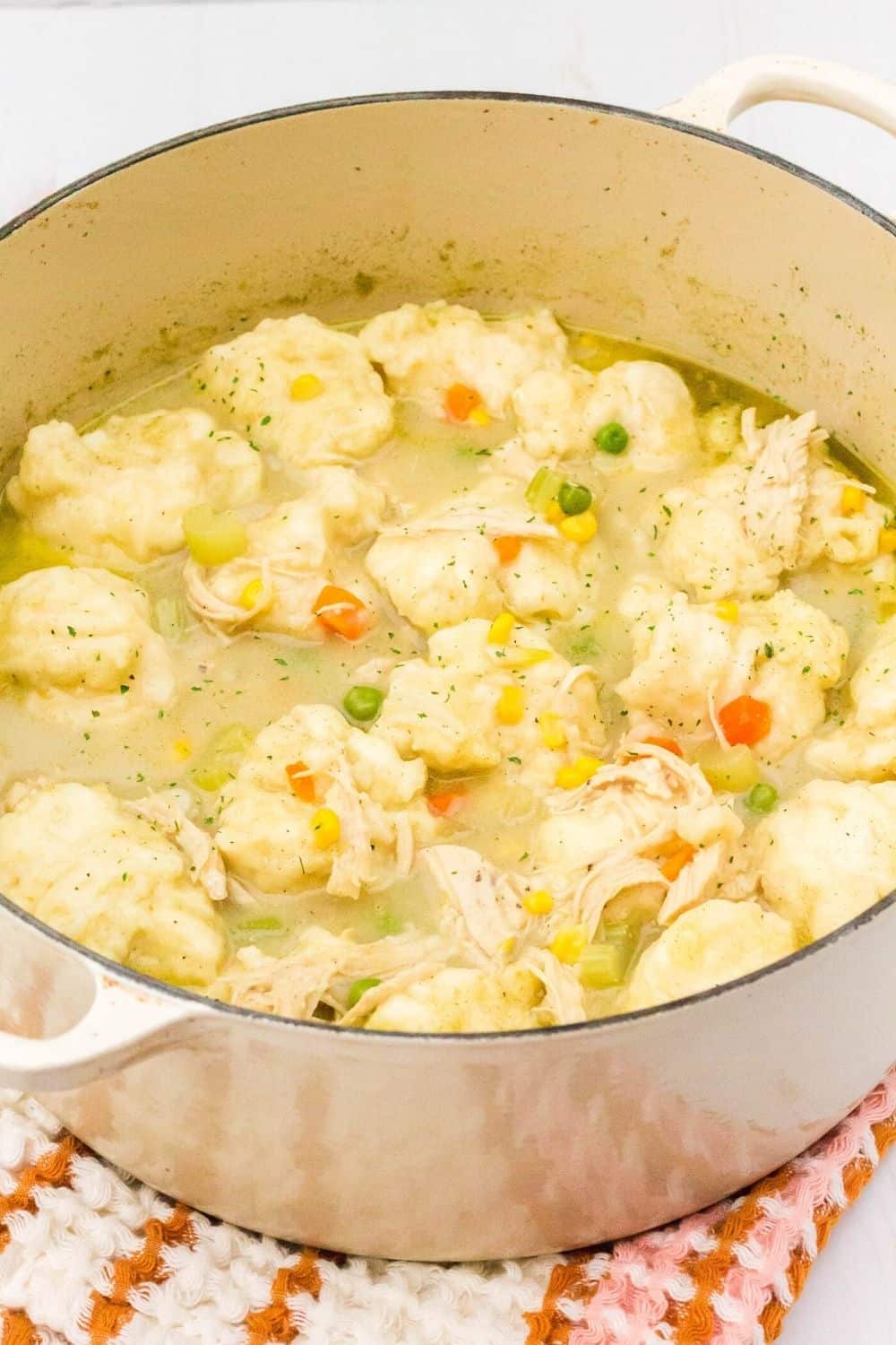 Dutch oven of chicken and Bisquick dumplings