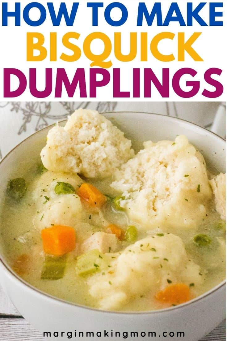 fluffy bisquick dumplings in a bowl with chicken and vegetables