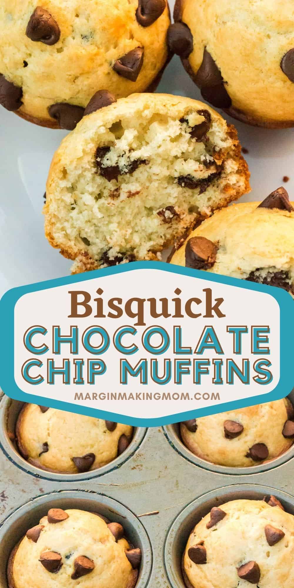 collage image featuring two photos. One photo shows bisquick chocolate chip muffins on a white plate, with one muffin cut in half. The other photo shows muffins still in the muffin pan.