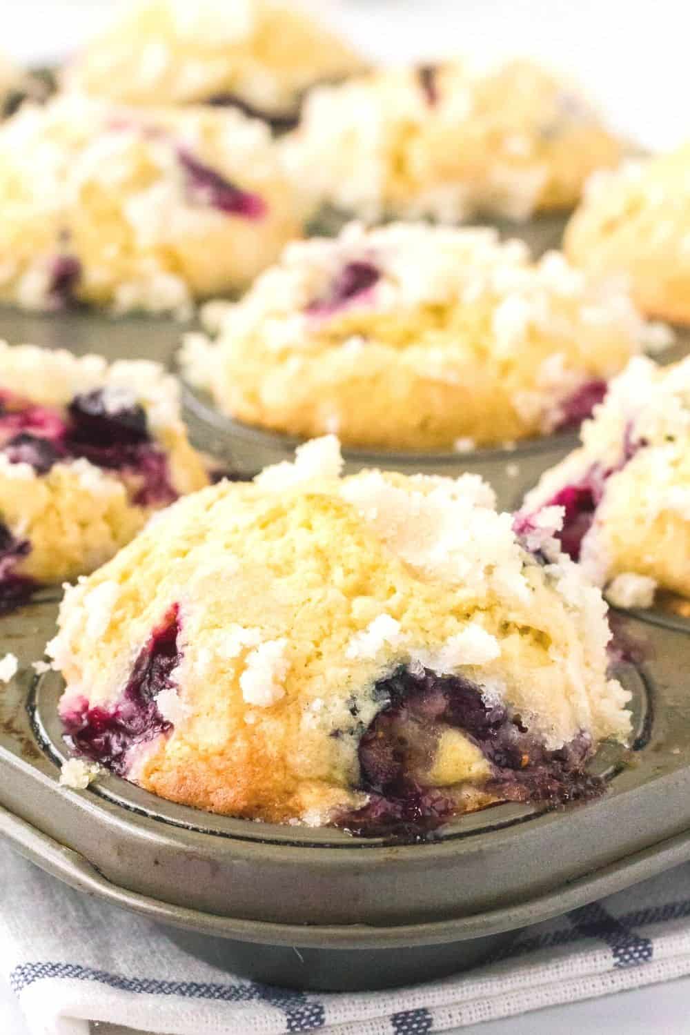 freshly baked blueberry muffins with streusel topping, still in the muffin pan