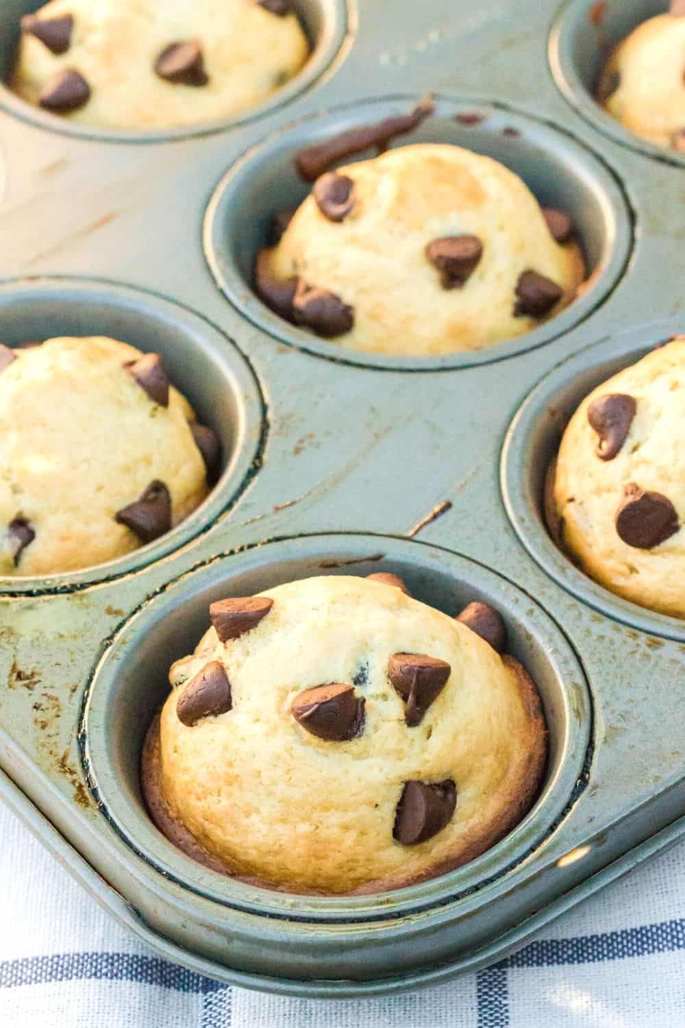 freshly baked chocolate chip Bisquick muffins still in the muffin pan