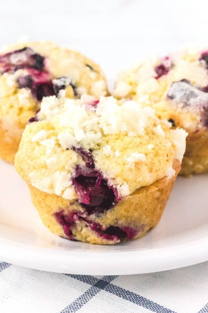 To Die For Blueberry Muffins - Margin Making Mom®