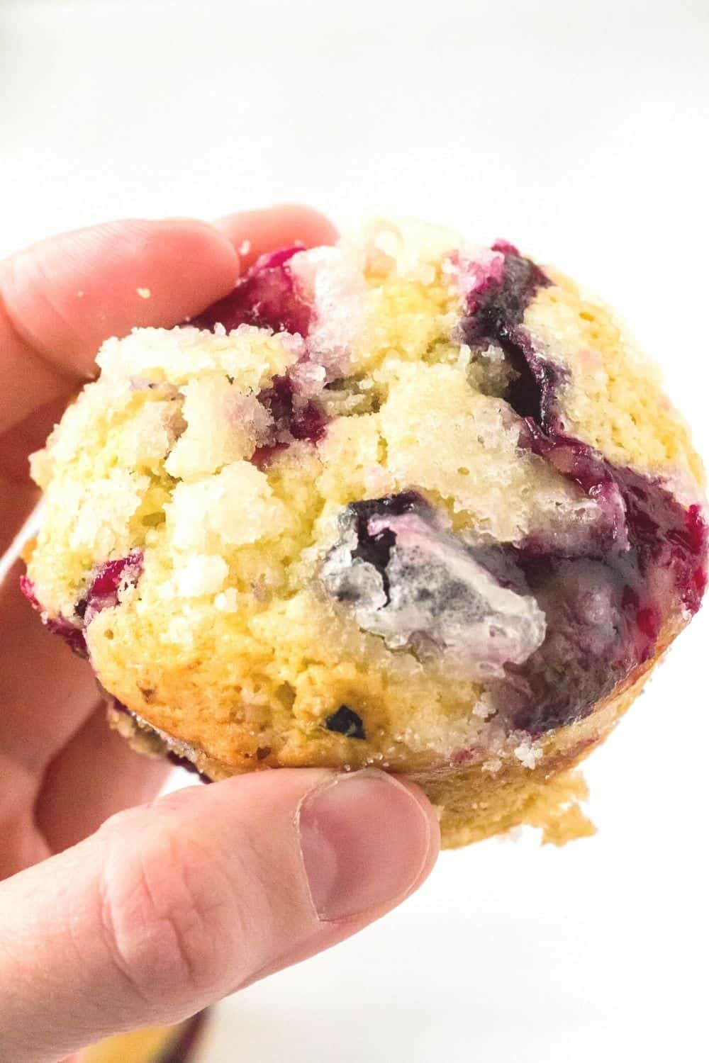 a woman's hand holes a blueberry sour cream muffin