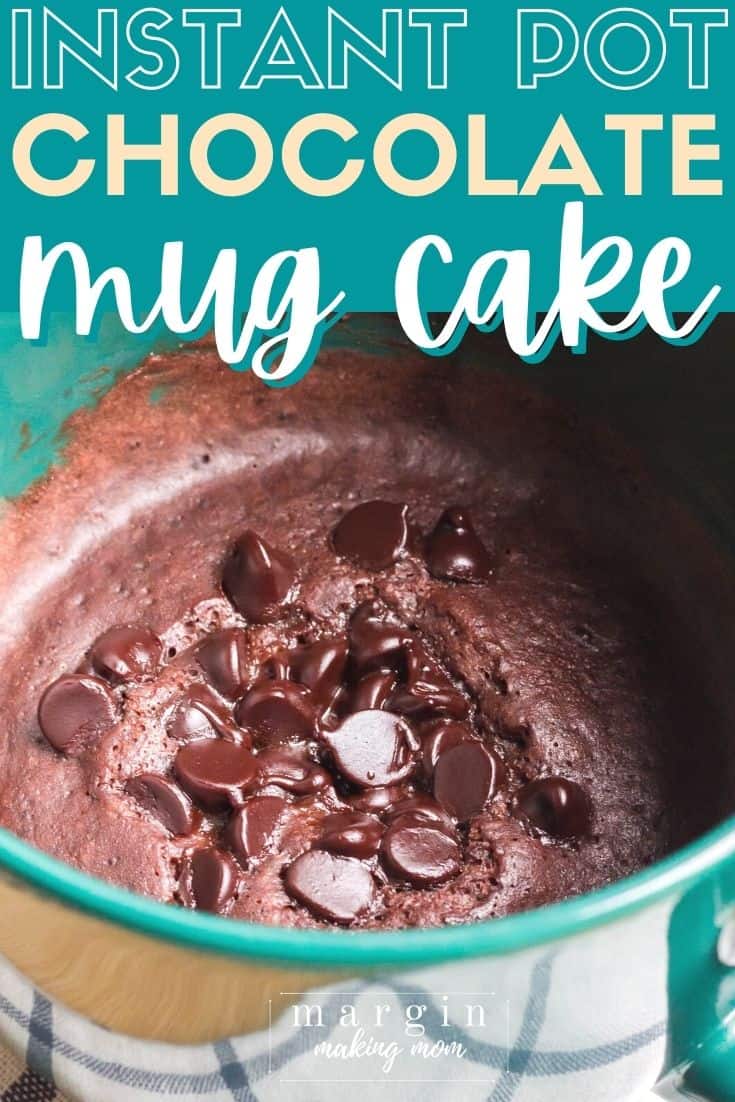 chocolate cake in a mug that was cooked in the Instant Pot pressure cooker