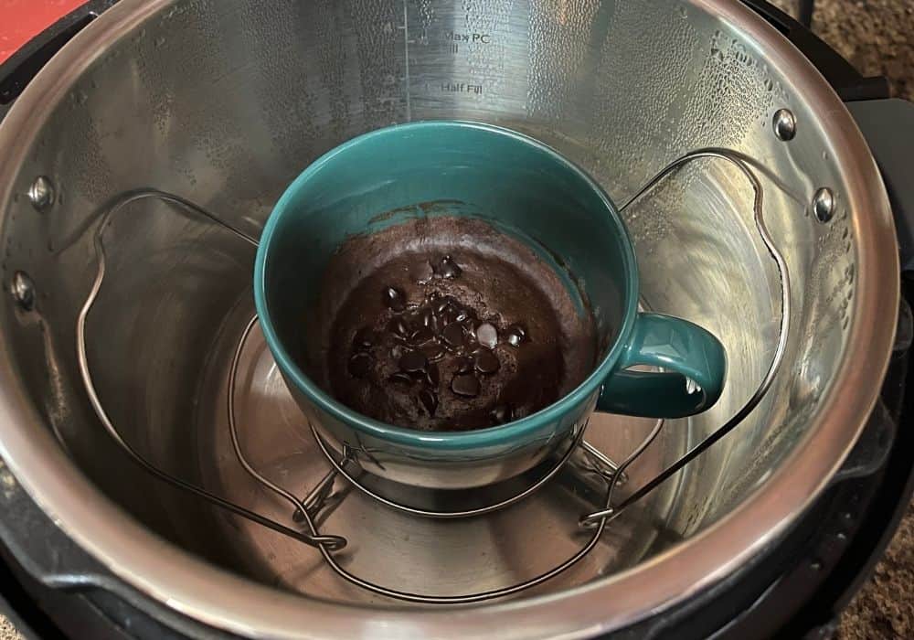 chocolate mug cake in the Instant Pot