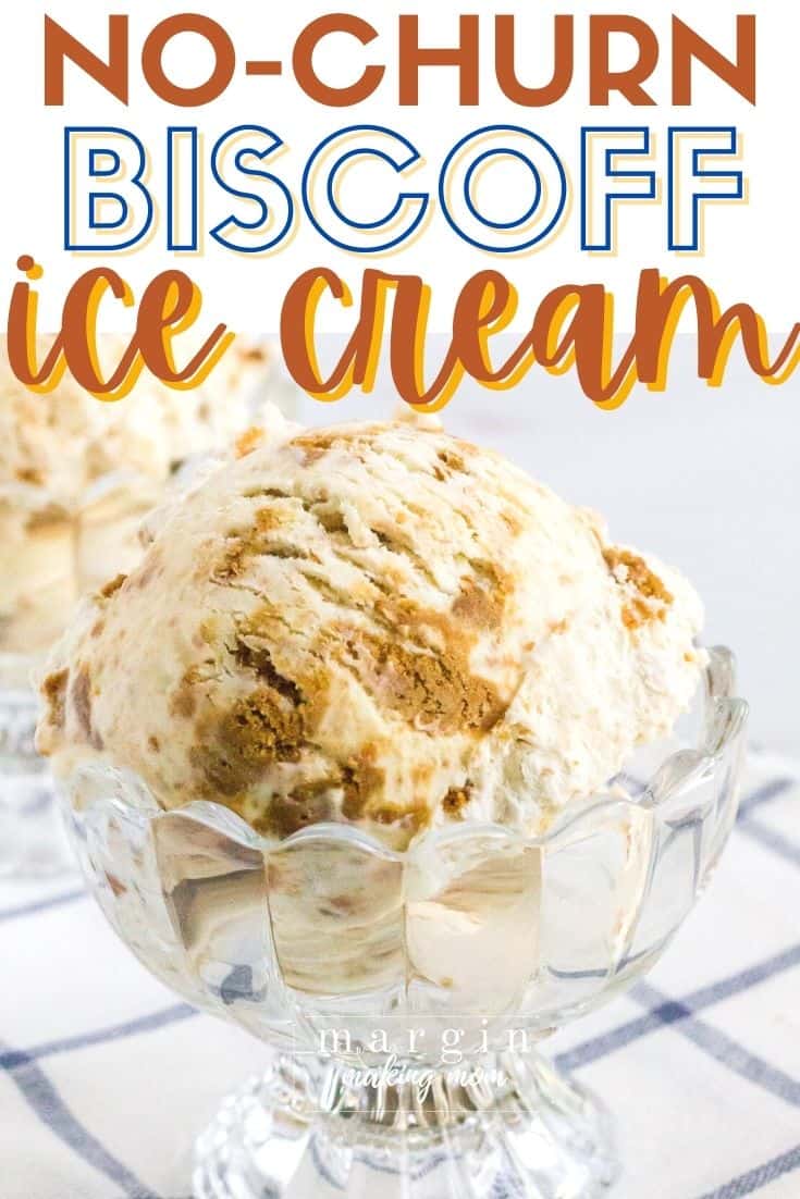 a glass ice cream dish filled with a scoop of homemade Biscoff ice cream.