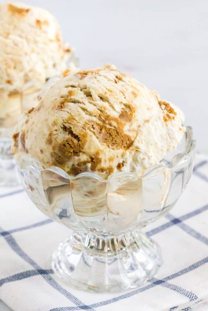 Easy Biscoff Ice Cream (No-Churn Speculoos Ice Cream) - Margin Making Mom®