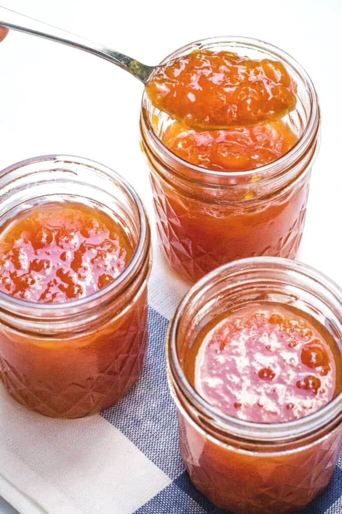 The Best Instant Pot Jam Recipes Margin Making Mom®