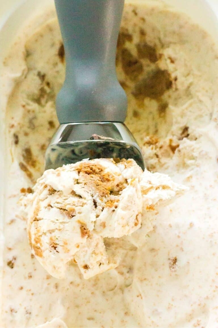 Easy Biscoff Ice Cream (No-Churn Speculoos Ice Cream) - Margin Making Mom®