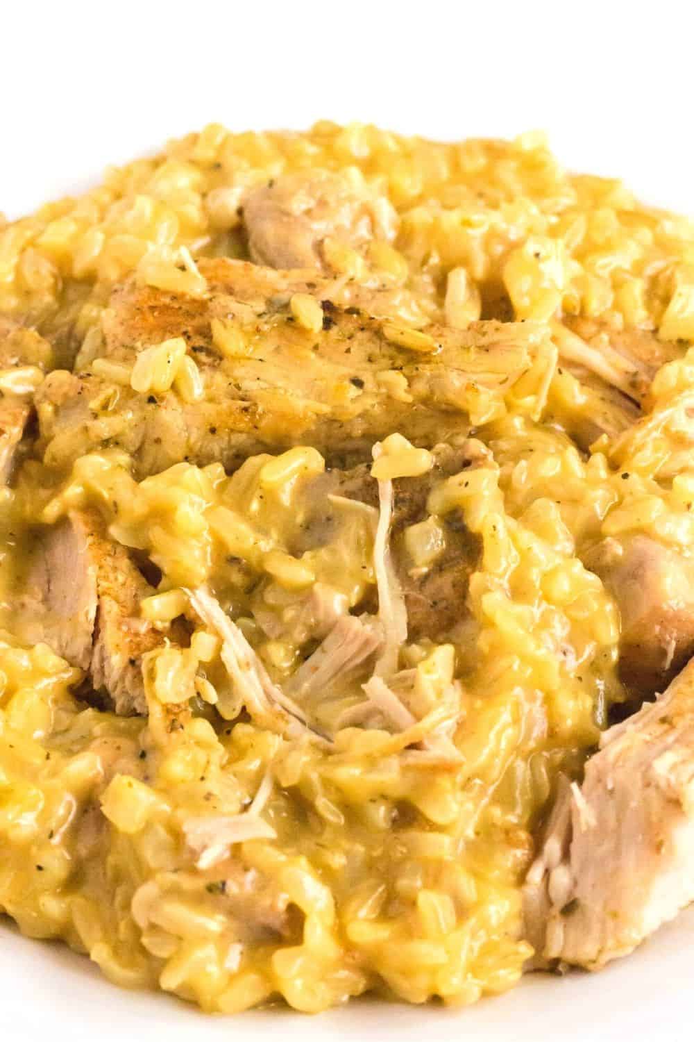close-up view of brown rice and pork chops cooked in the instant pot, in a creamy sauce