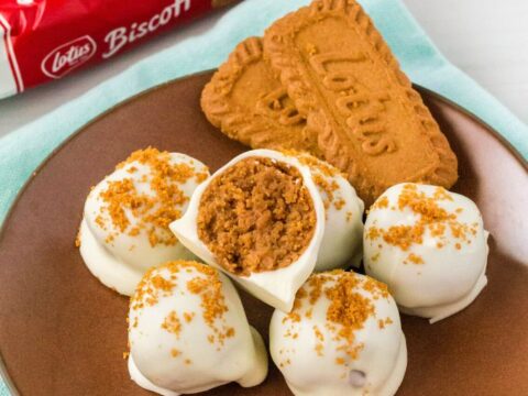 Review] Lotus Biscoff Original Caramelized Biscuits - Just An Ordinary Girl