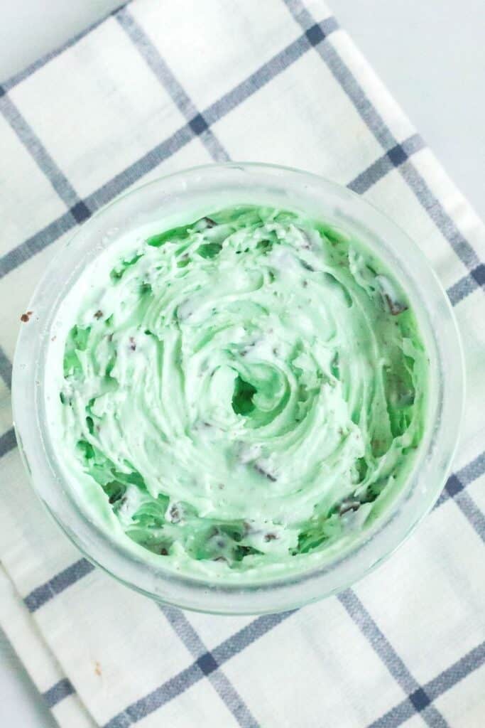 Delicious Ninja Creami Mint Chocolate Chip Ice Cream Margin Making Mom®