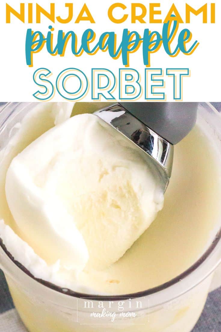 Ninja Creami Sorbet Recipe - Recipe Diaries