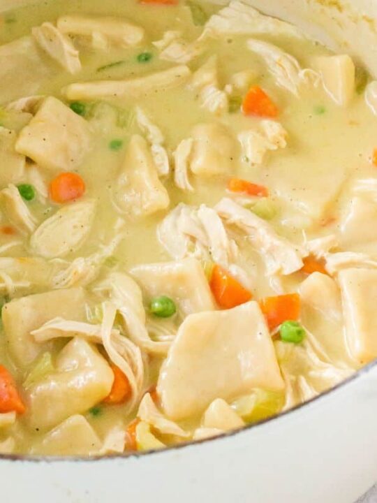 Old-Fashioned Chicken and Dumplings - My Homemade Roots