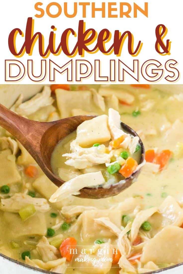 A wooden ladle scoops out some southern chicken and dumplings from a dutch oven.