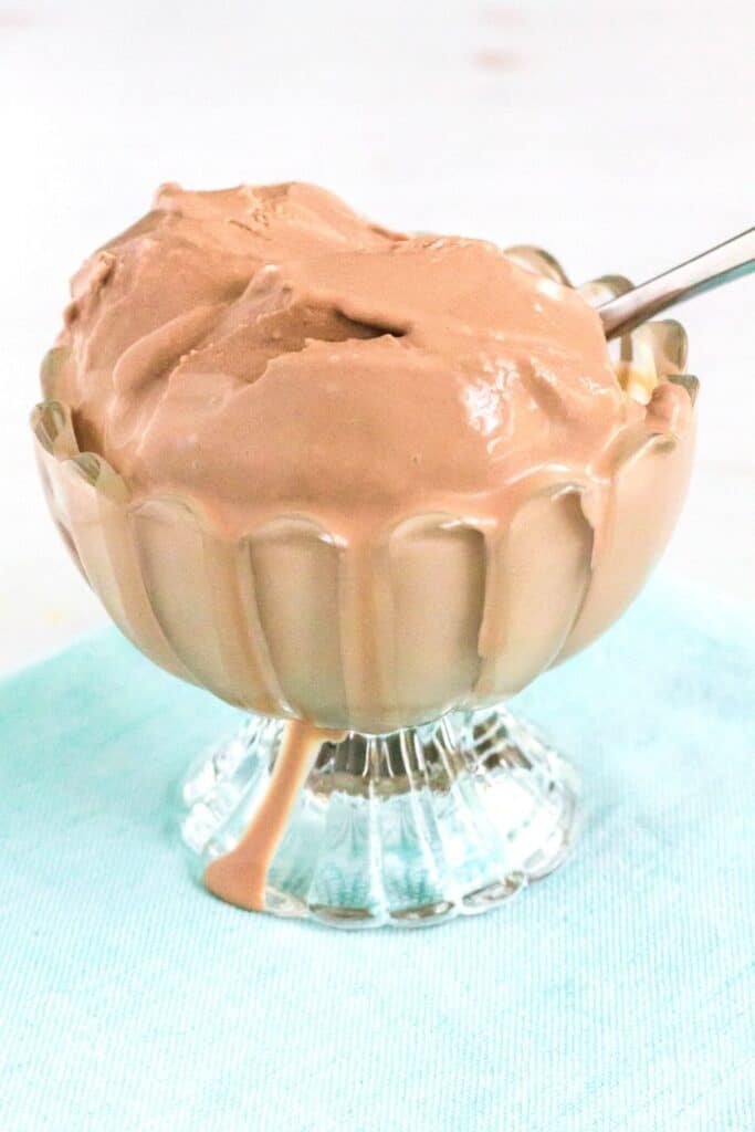 Decadent Ninja Creami Chocolate Ice Cream Margin Making Mom®