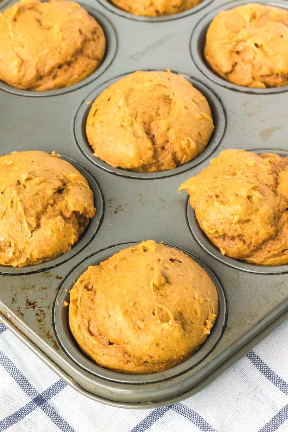 freshly baked pumpkin muffins, made with spice cake mix, still in the pan.
