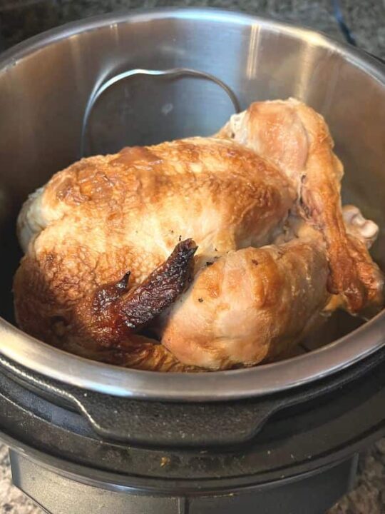 Instant pot best sale rotisserie chicken breast