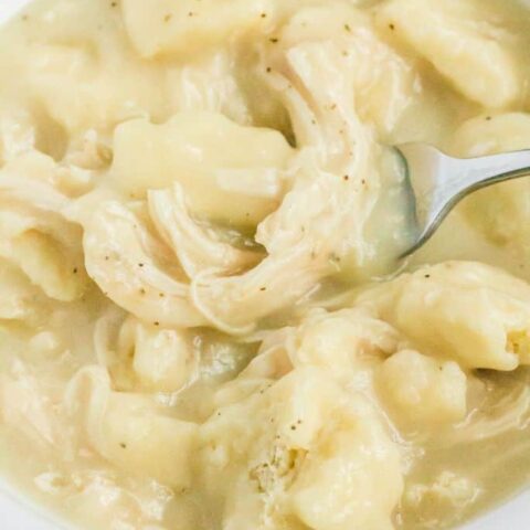 https://marginmakingmom.com/wp-content/uploads/2023/01/slow-cooker-chicken-and-dumplings-FEATURE-480x480.jpg