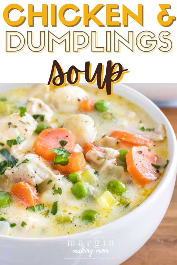 close-up view of chicken and dumplings soup in a white bowl