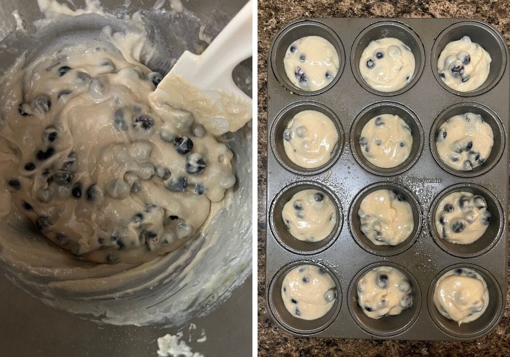 two photos; one shows blueberries folded into the muffin batter, the other shows muffin batter divided among the wells of a muffin tin.