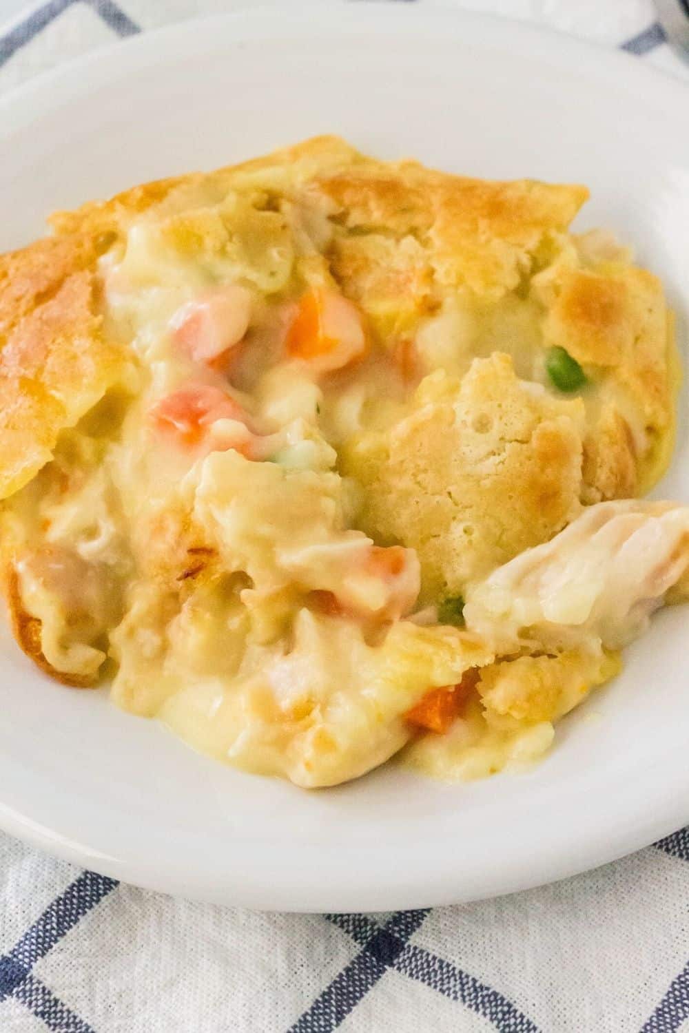 chicken and biscuit cobbler served on a white plate, showing tender chicken, vegetables, and a biscuit crust.