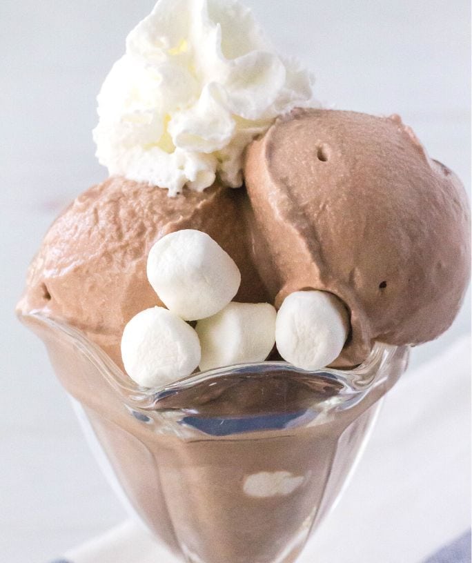 Delicious Ninja Creami Mint Chocolate Chip Ice Cream - Margin Making Mom®