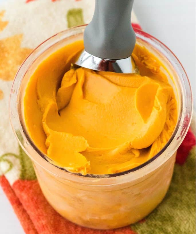 https://marginmakingmom.com/wp-content/uploads/2023/10/Ninja-Creami-Pumpkin-Pie-Ice-Cream-FEATURE.jpg