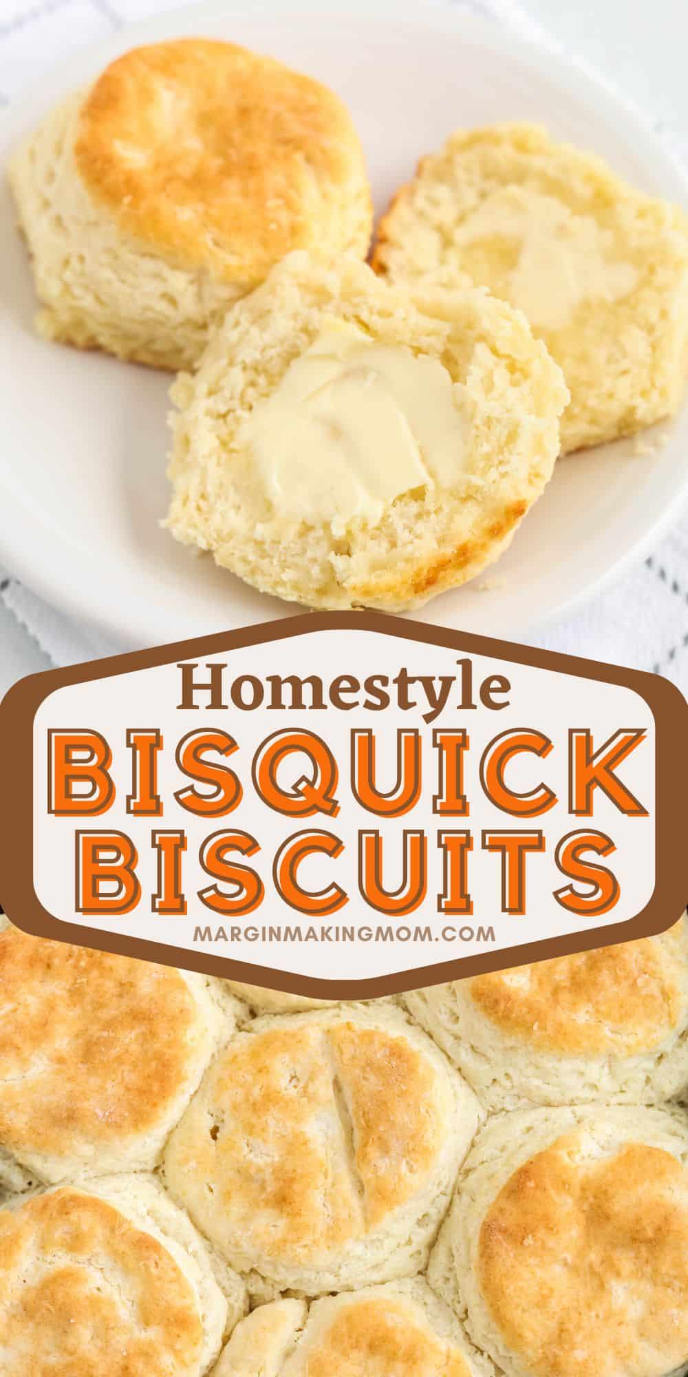 two photos; one shows biscuits made from bisquick served on a white plate; the other shows cut biscuits baked in a cast iron skillet.