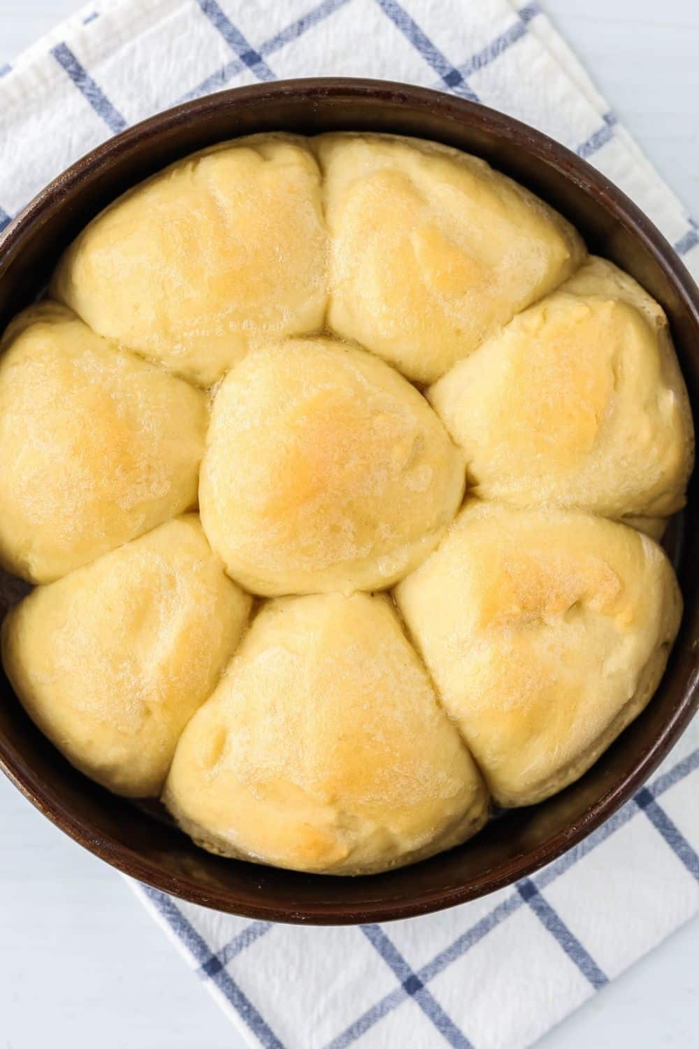 overhead view of a round cake pan filled with freshly baked dinner rolls proofed in the instant pot