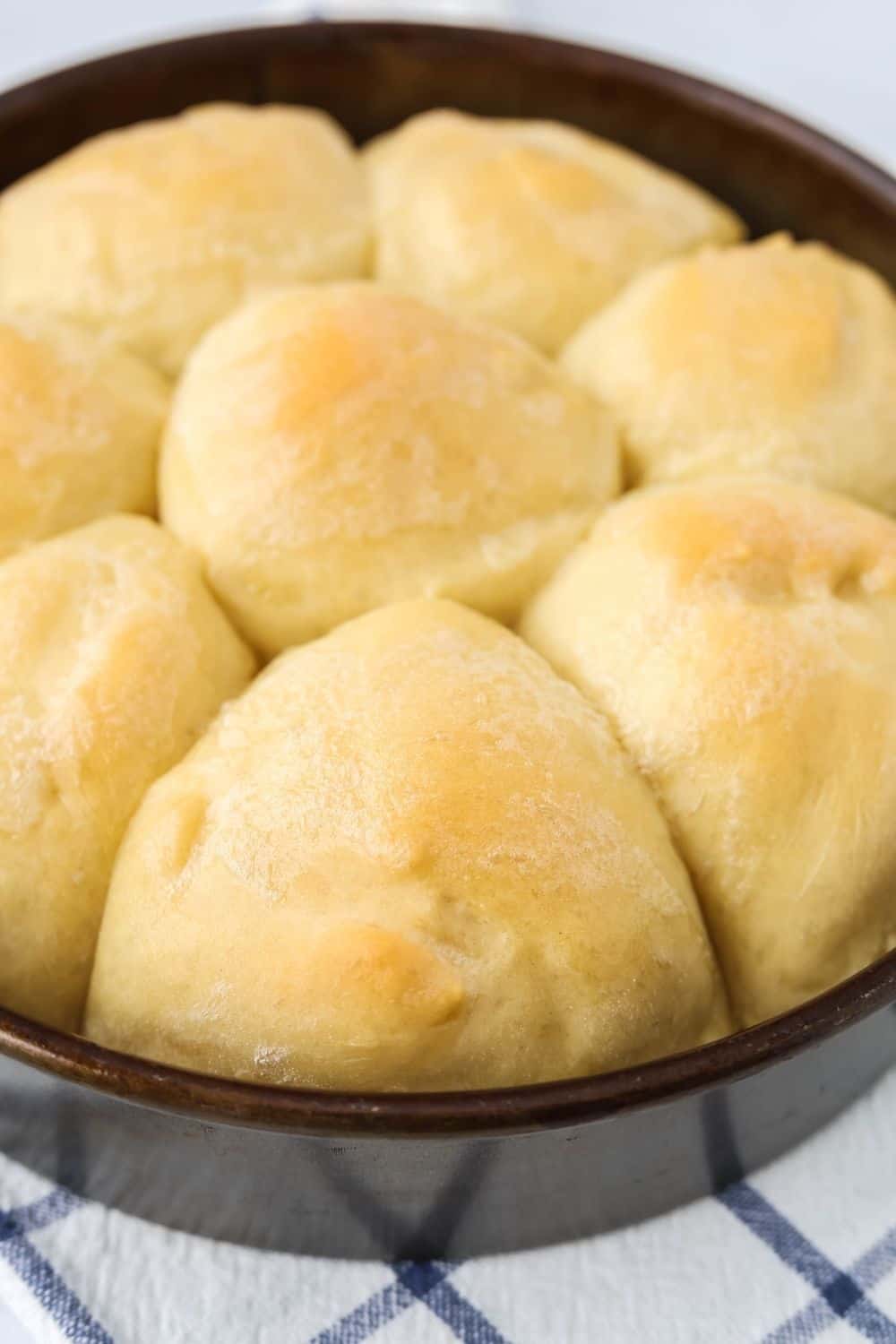 close-up view of a pan of instant pot dinner rolls fresh out of the oven