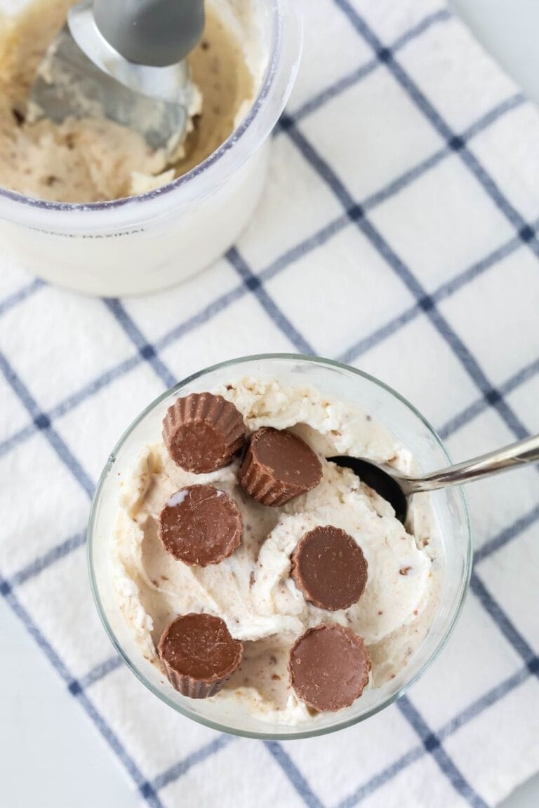 Easy Ninja Creami Copycat Blizzard - Margin Making Mom®