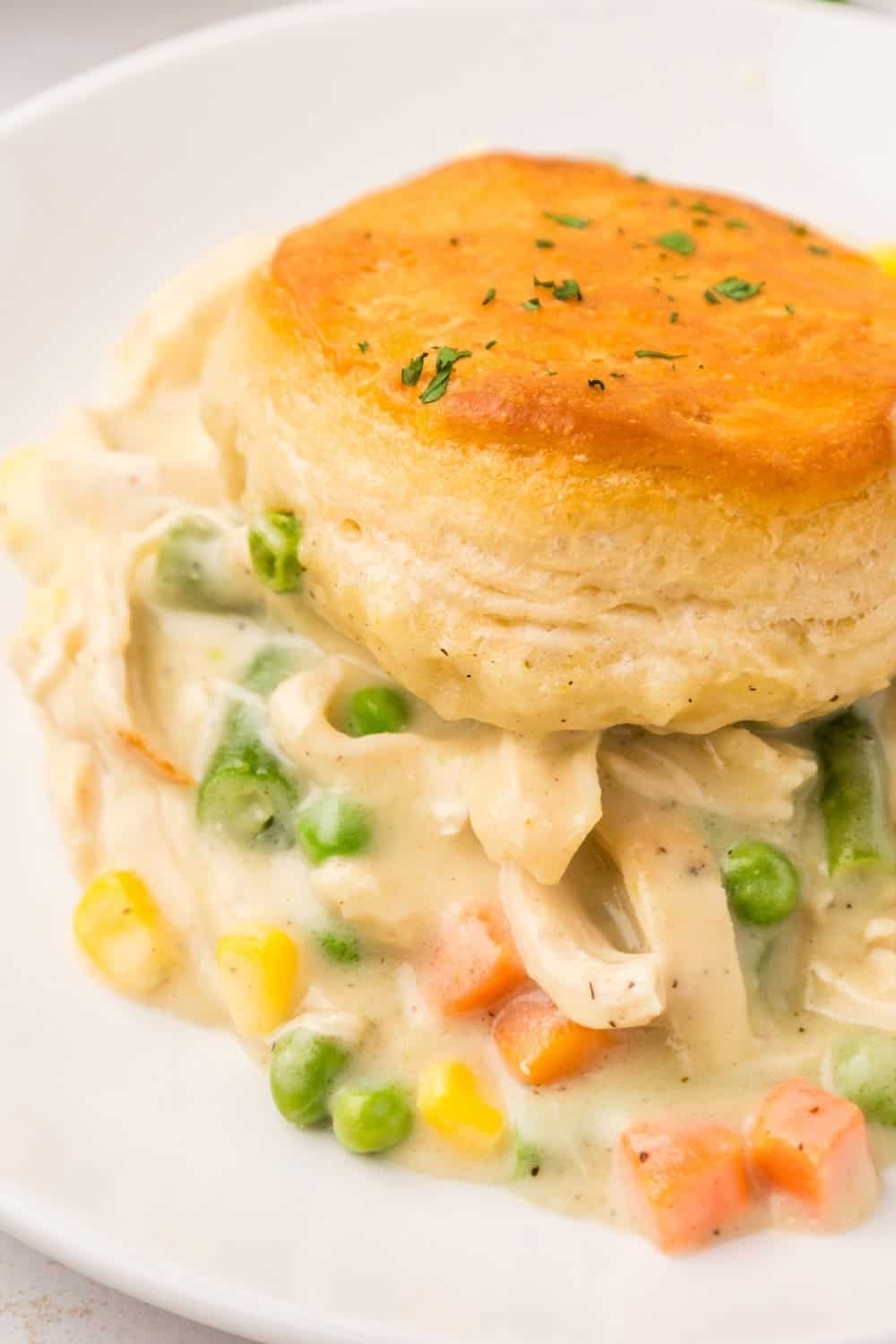 close-up view of the filling of chicken pot pie, which is topped with a golden brown biscuit instead of crust.
