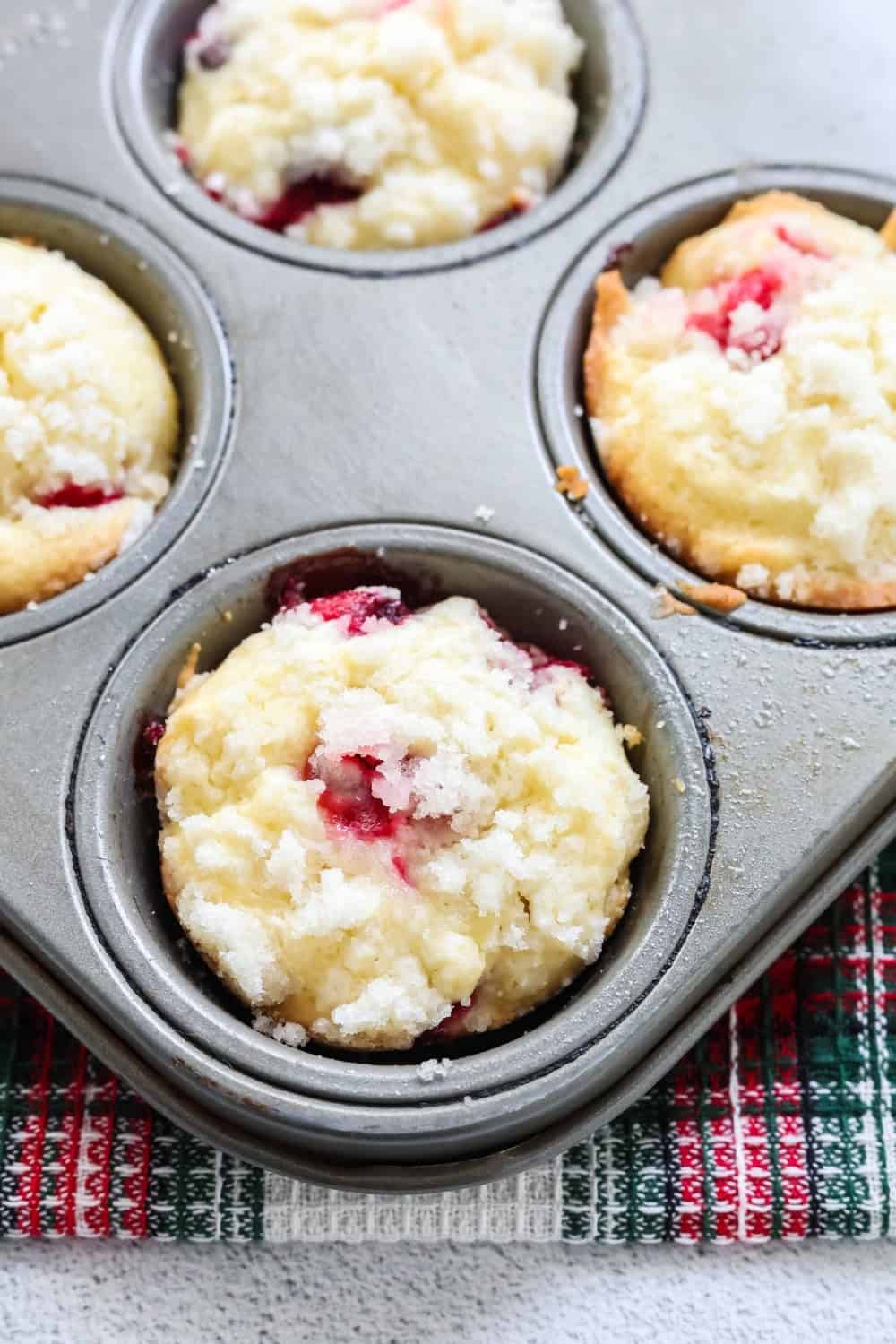 freshly baked cranberry cream cheese muffins still in the muffin pan.