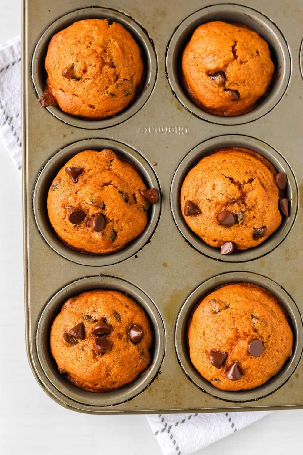 overhead view of a muffin tin of freshly baked pumpkin chocolate chip muffins.