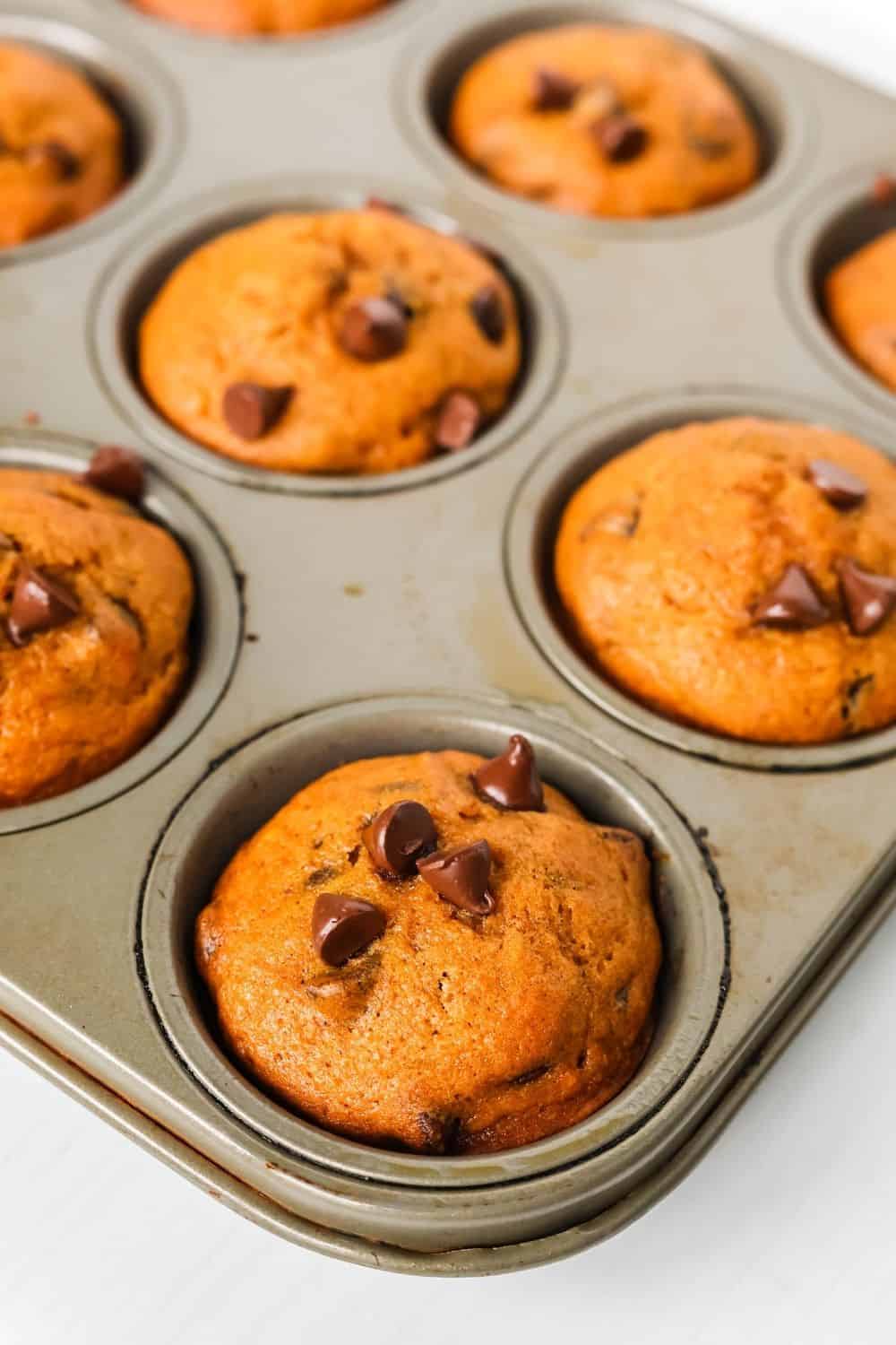 muffin pan containing freshly-baked pumpkin choc chip muffins that are homemade from scratch.