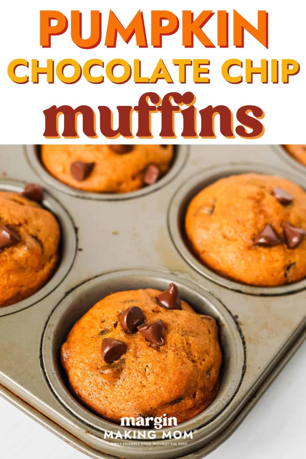 a muffin tin of freshly-baked pumpkin chocolate chip muffins.