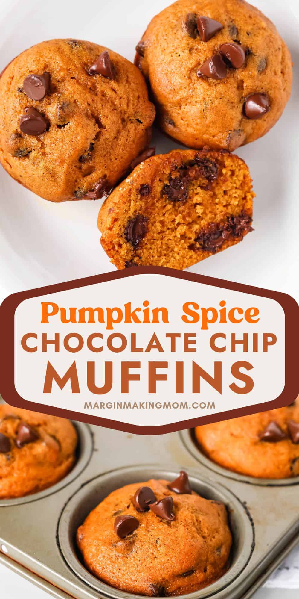 two photos; one shows pumpkin spice chocolate chip muffins on a white plate. One muffin has been cut in half to show the moist interior dotted with chocolate chips. The other photo shows the pumpkin muffins in the muffin pan.