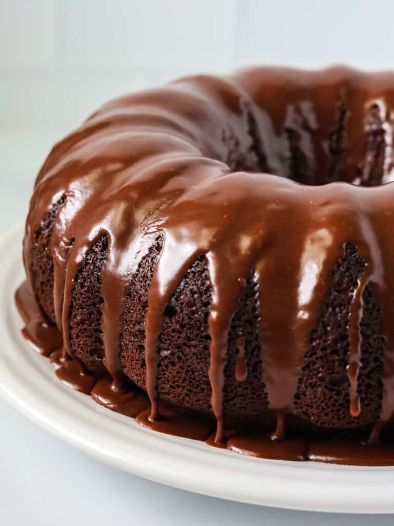 close-up view of a chocolate mayonnaise cake from a mix, topped with satiny chocolate icing.