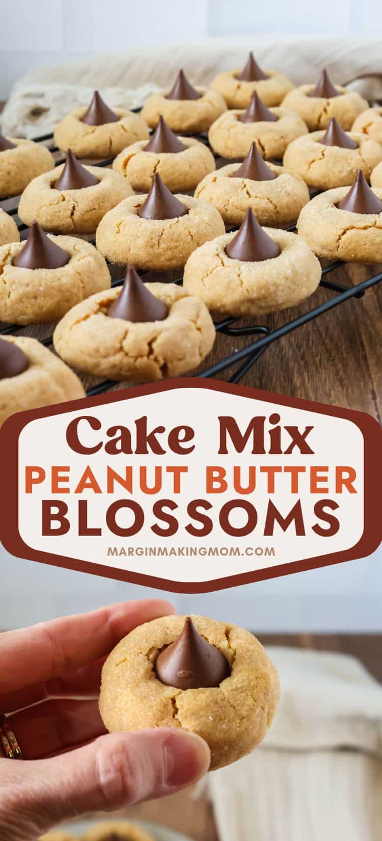 two photos; one shows several peanut butter blossoms from cake mix cooling on a wire rack; the other shows a woman's hand holding one of the cookies.