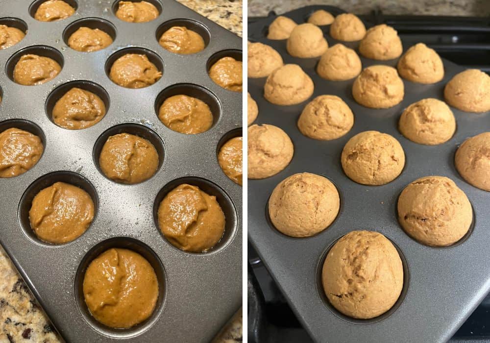 two photos; one shows gingerbread batter in a mini muffin pan; the other shows freshly baked mini muffin gingerbread donut holes in the pan.