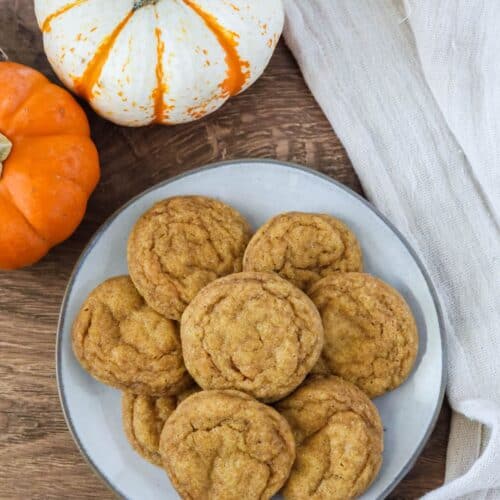 Pumpkin snickerdoodles on an ivory plate, with two mini pumpkins next to the plate.