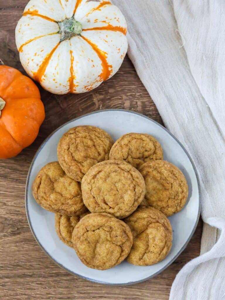 Pumpkin snickerdoodles on an ivory plate, with two mini pumpkins next to the plate.