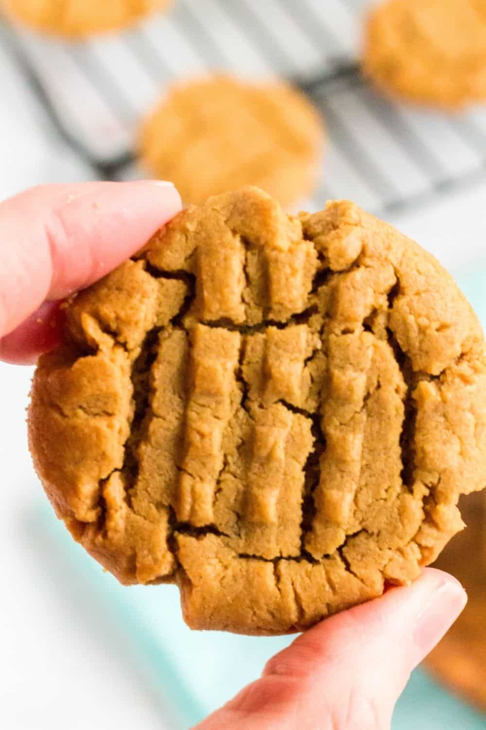 two fingers hold an easy homemade peanut butter cookie.