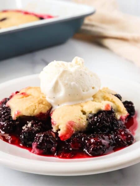 Bisquick blackberry cobbler topped with vanilla ice cream and served on a white plate.