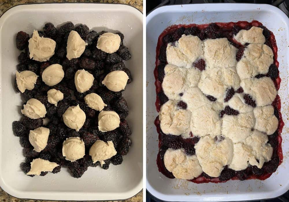 two photos; one shows dollops of cobbler topping batter over blackberry filling ingredients; the other shows the bisquick fruit cobbler in the pan after baking.