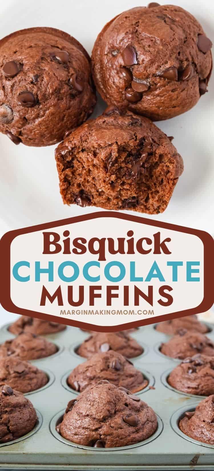 two photos; one shows three Bisquick chocolate muffins on a white plate; the other shows a muffin pan of freshly baked batch of chocolate muffins made with Bisquick.